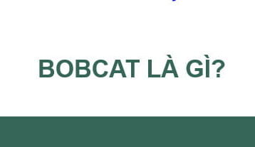 Bobcat là gì? Bobcat GG dịch là gì? – Hoang Vo Reviews