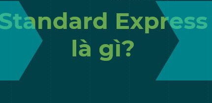 Standard Express là gì? Điều chưa biết - Hoang Vo Reviews